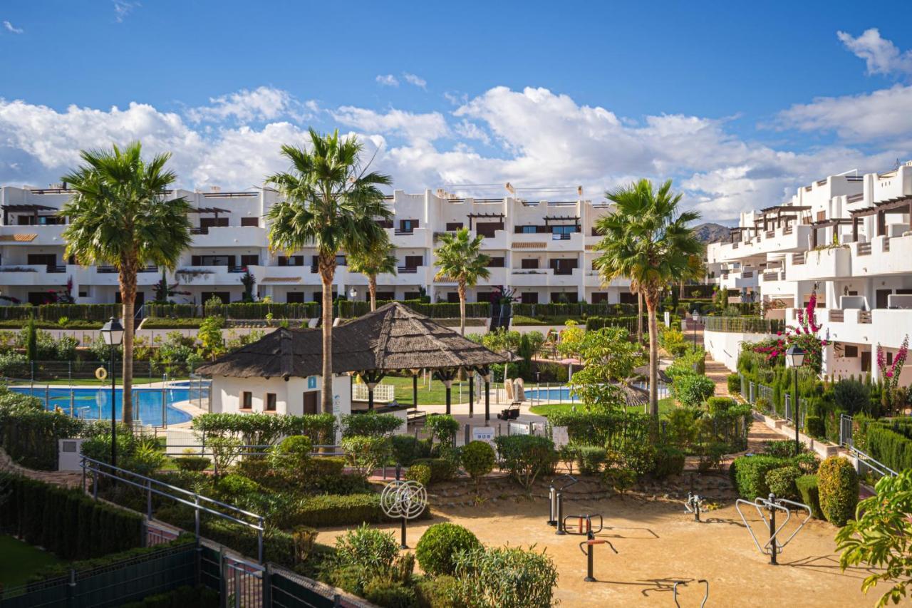 Aguacate San Juan de los Terreros